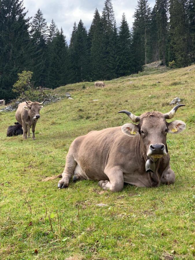 FeWo Gotschna Haus Bargis Klosters-Serneus Exterior foto