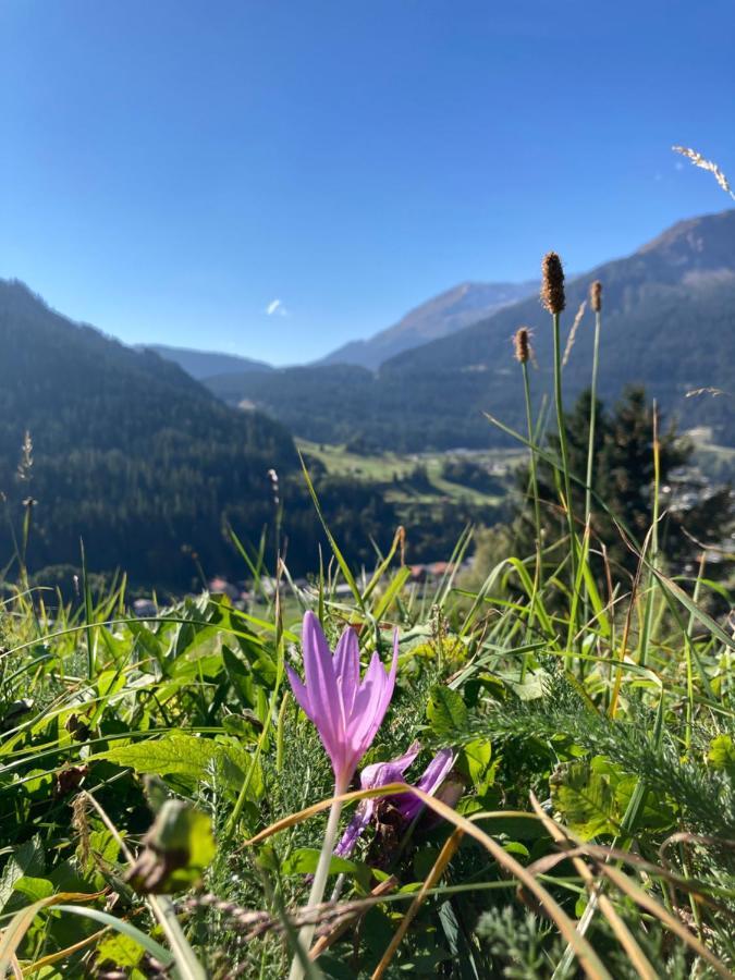 FeWo Gotschna Haus Bargis Klosters-Serneus Exterior foto